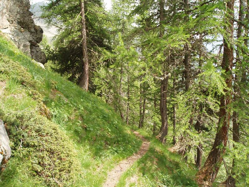 Youri - Ecrins 2005 385 